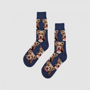 Blue Dog socks