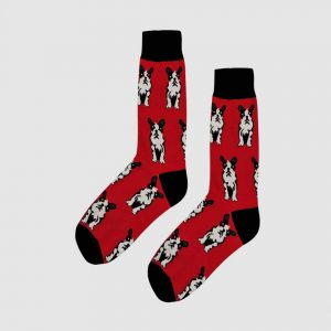 Red Dog Socks